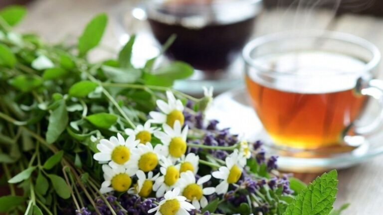 infusiones naturales para relajarse