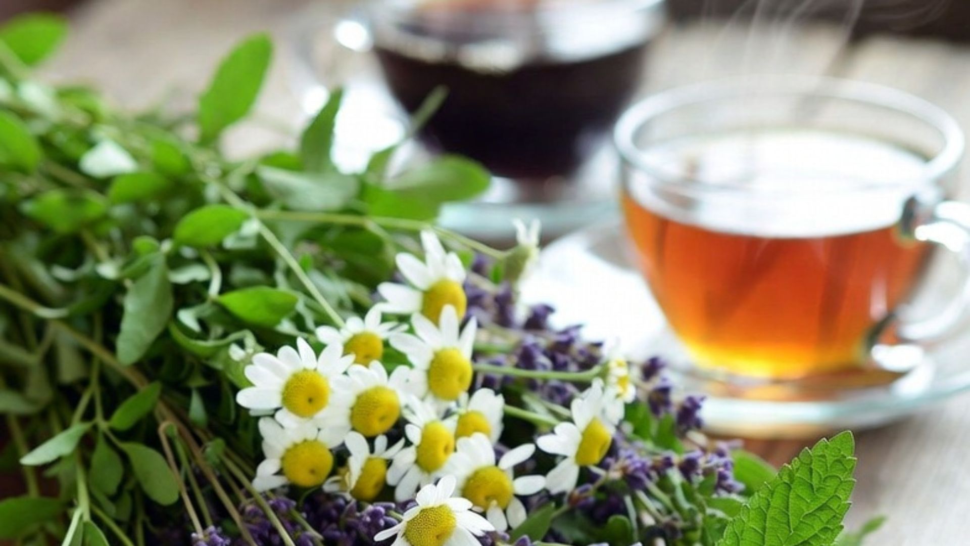 infusiones naturales para relajarse